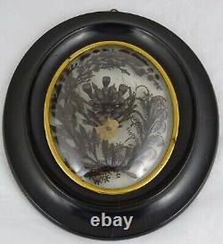 Antique French Victorian Mourning Hair Art Frame Reliquary Very Large