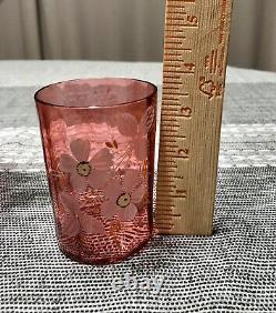 Antique Victorian Cranberry Glass Enameled Floral Pitcher and Tumblers Water Set