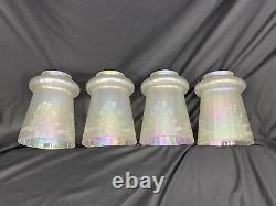 Antique Vtg Set 4 Iridescent Art Glass Lamp Shades Floral Victorian Deco Nouveau