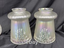 Antique Vtg Set 4 Iridescent Art Glass Lamp Shades Floral Victorian Deco Nouveau