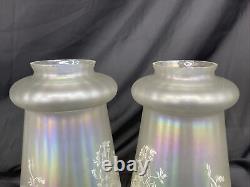 Antique Vtg Set 4 Iridescent Art Glass Lamp Shades Floral Victorian Deco Nouveau