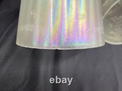 Antique Vtg Set 4 Iridescent Art Glass Lamp Shades Floral Victorian Deco Nouveau