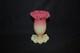 Beautiful Victorian Webb Burmese Uranium Glass Posey Vase 1880's