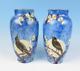 Large Pair Antique Opaline Glass Vase Hp Birds Moon Victorian French Or Bohemian