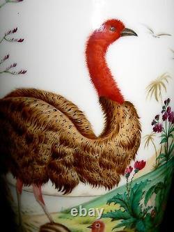 Opaline glass VASE, Baccarat, Jean-Francois Robert, c1850, Ostrich, Ibis, 17.5t