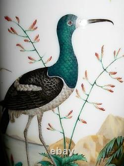 Opaline glass VASE, Baccarat, Jean-Francois Robert, c1850, Ostrich, Ibis, 17.5t