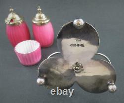 PINK cased RIBBED Satin Art GLASS antique CONDIMENT Set WB&Co Sheffield A1