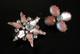 Rare Victorian Saphiret Rhinestone Czech Art Glass Star + Clover Brooch Antique