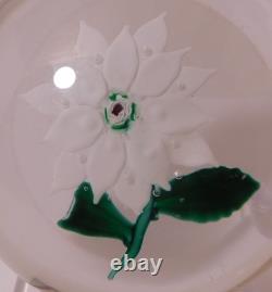 Uncommon & Lovely Boston & Sandwich White Double Poinsettia Pre 1900 Paperweight Uncommon & Lovely Boston & Sandwich White Double Poinsettia Pre 1900 Paperweight