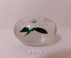 Uncommon & Lovely Boston & Sandwich White Double Poinsettia Pre 1900 Paperweight Uncommon & Lovely Boston & Sandwich White Double Poinsettia Pre 1900 Paperweight