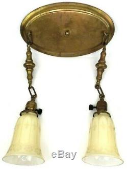 Victorian Art Nouveau Art Glass Shades Brass Hanging Light Fixture