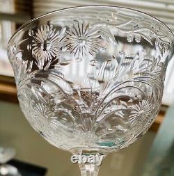 Victorian Webb Corbett Intricate Cut Champagne Glass WEC71 Elaborate Floral 6